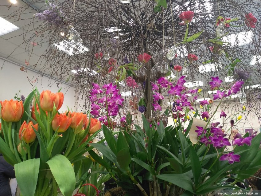 Весна, весна! Цветы, цветы