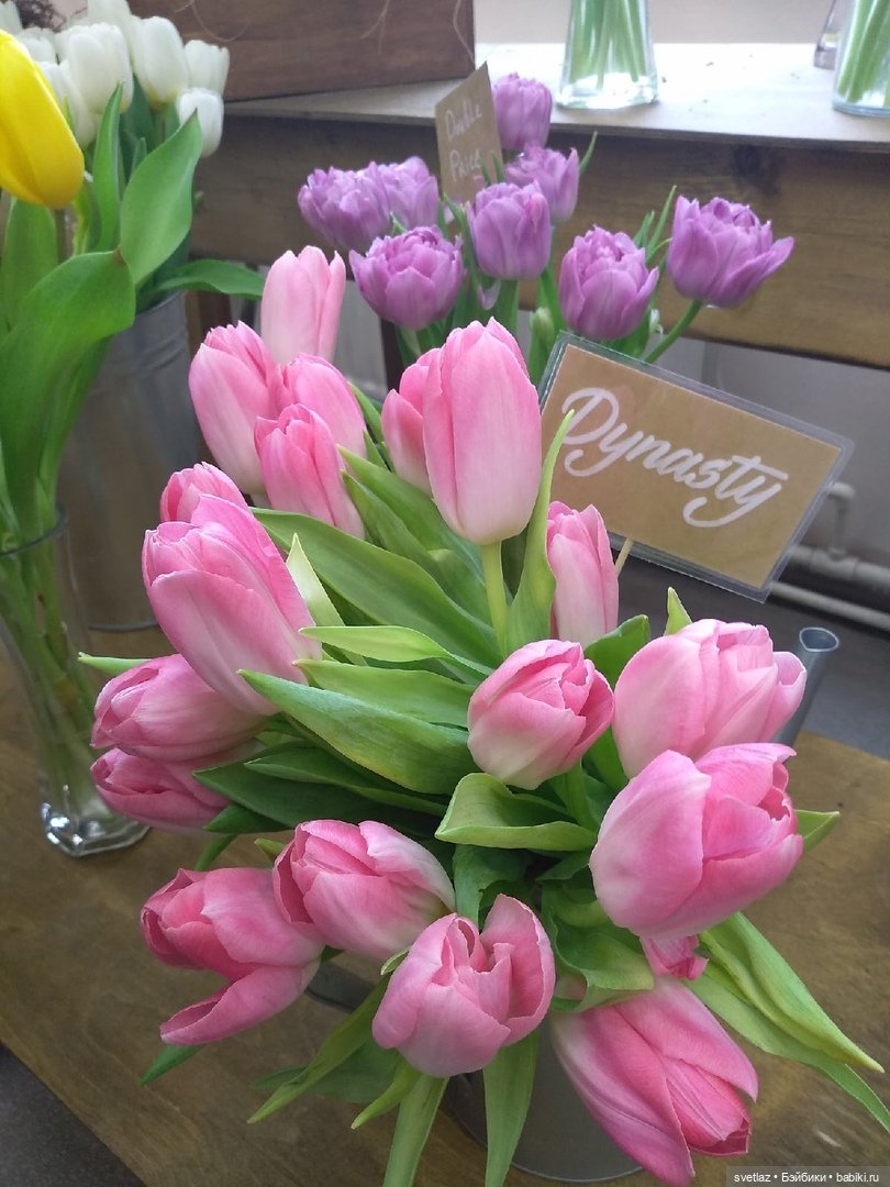 Весна, весна! Цветы, цветы