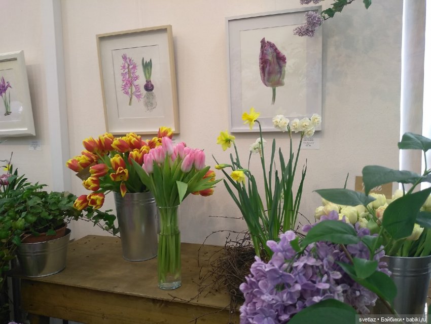 Весна, весна! Цветы, цветы