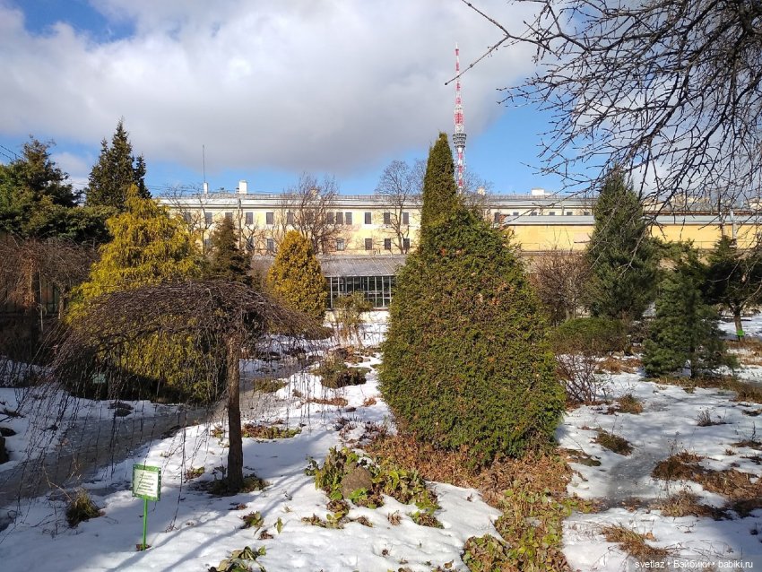 Весна, весна! Цветы, цветы