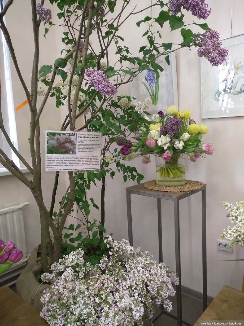 Весна, весна! Цветы, цветы