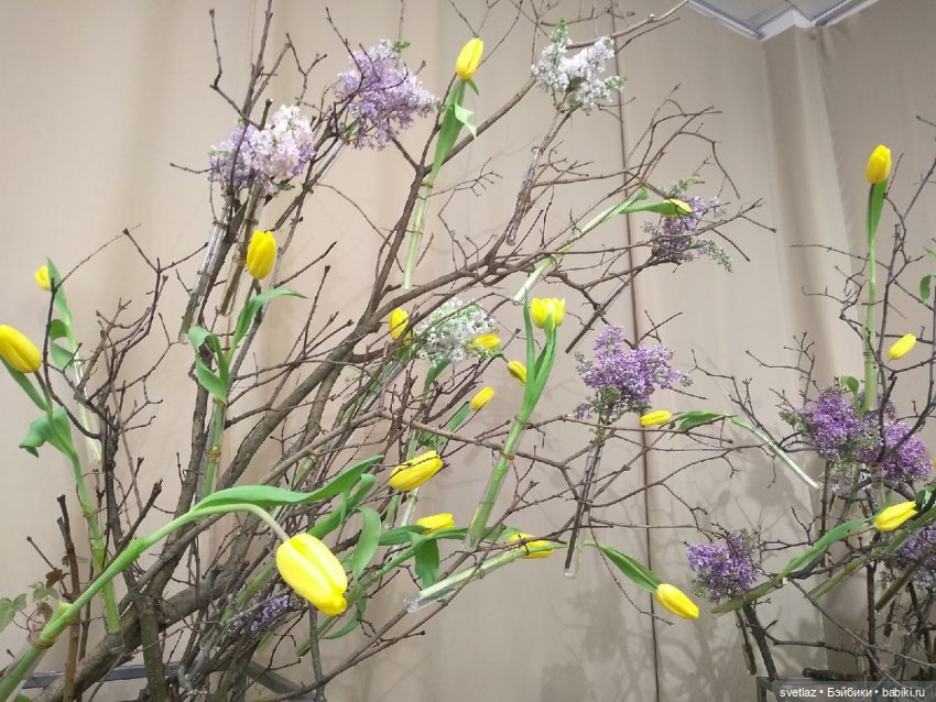 Весна, весна! Цветы, цветы