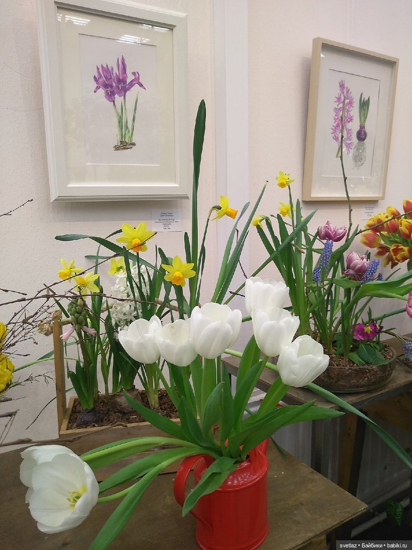 Весна, весна! Цветы, цветы