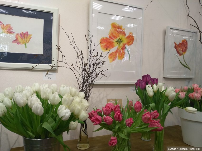 Весна, весна! Цветы, цветы