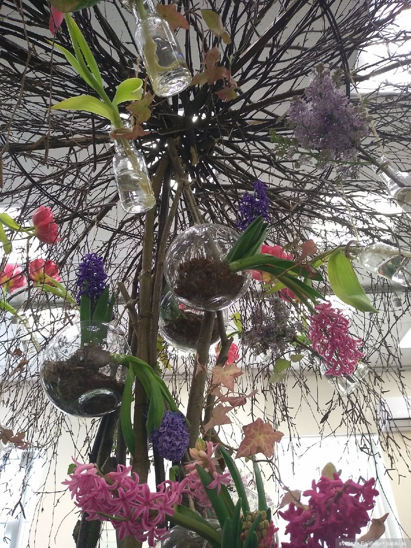 Весна, весна! Цветы, цветы