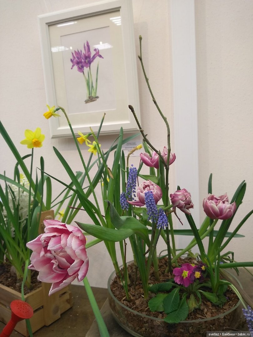 Весна, весна! Цветы, цветы