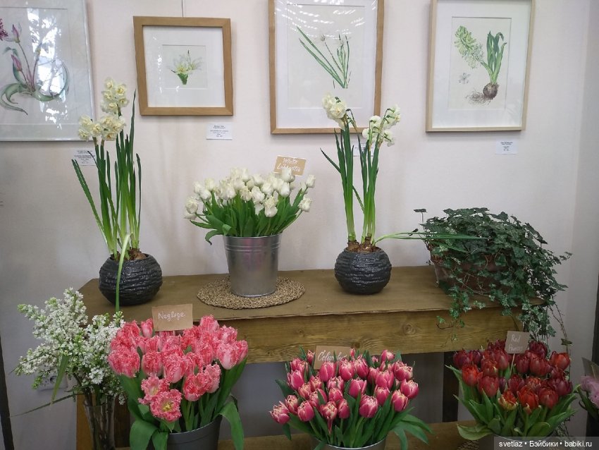 Весна, весна! Цветы, цветы