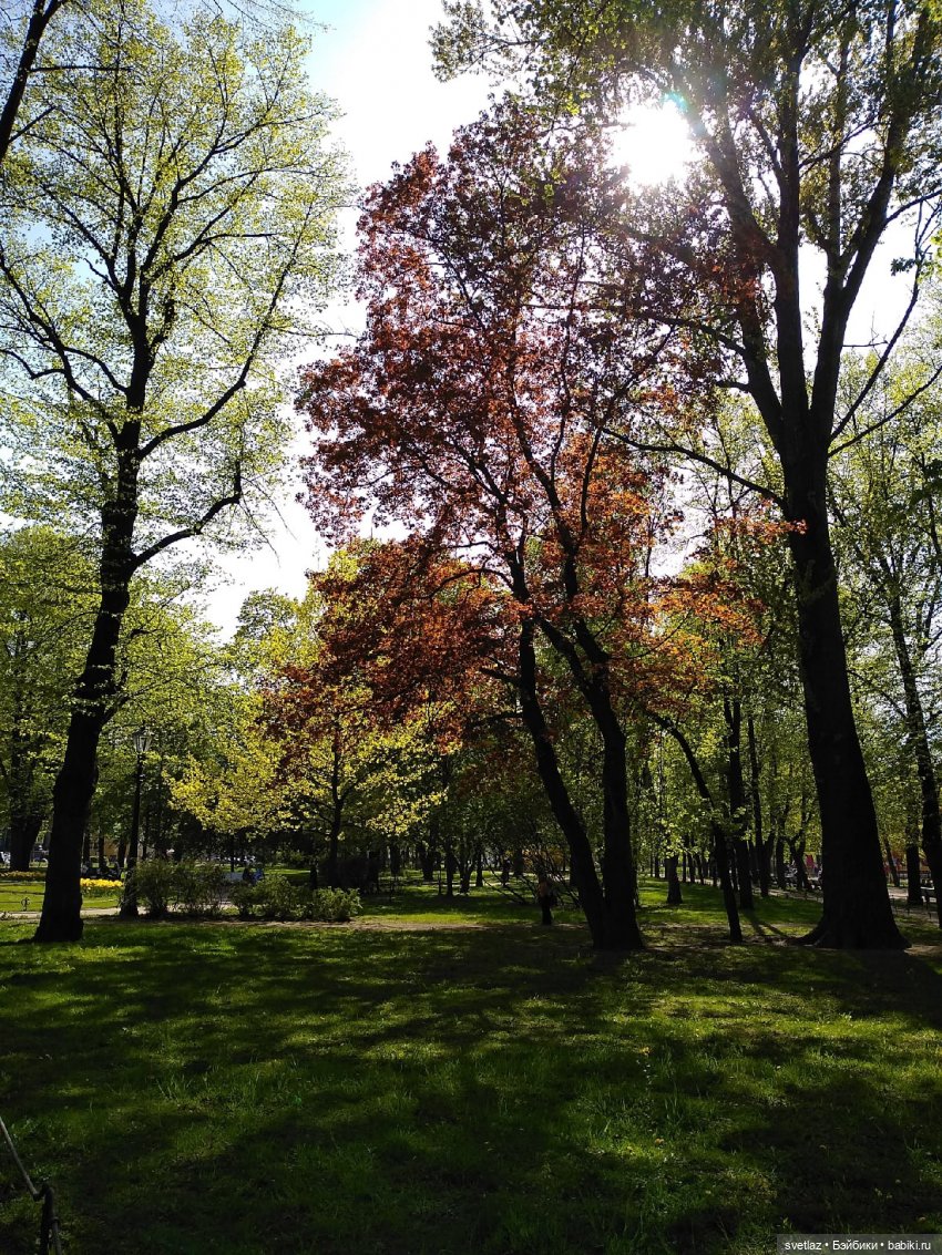 И еще... Время кукол...Санкт-Петербург | Бэйбики И еще... Время кукол...Санкт-Петербург