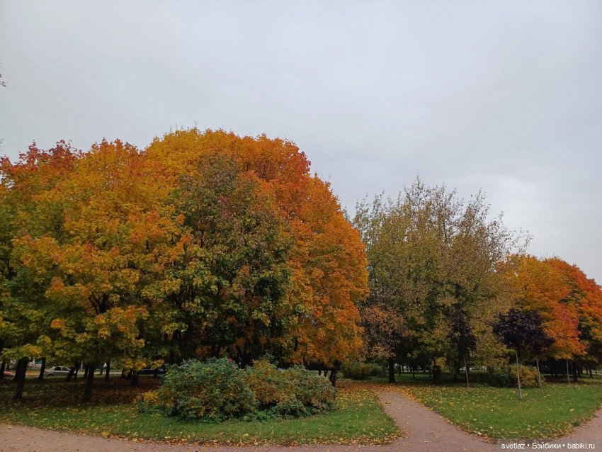 А оделся я так, потому что (фото 3)