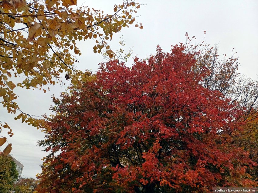 А оделся я так, потому что (фото 4)