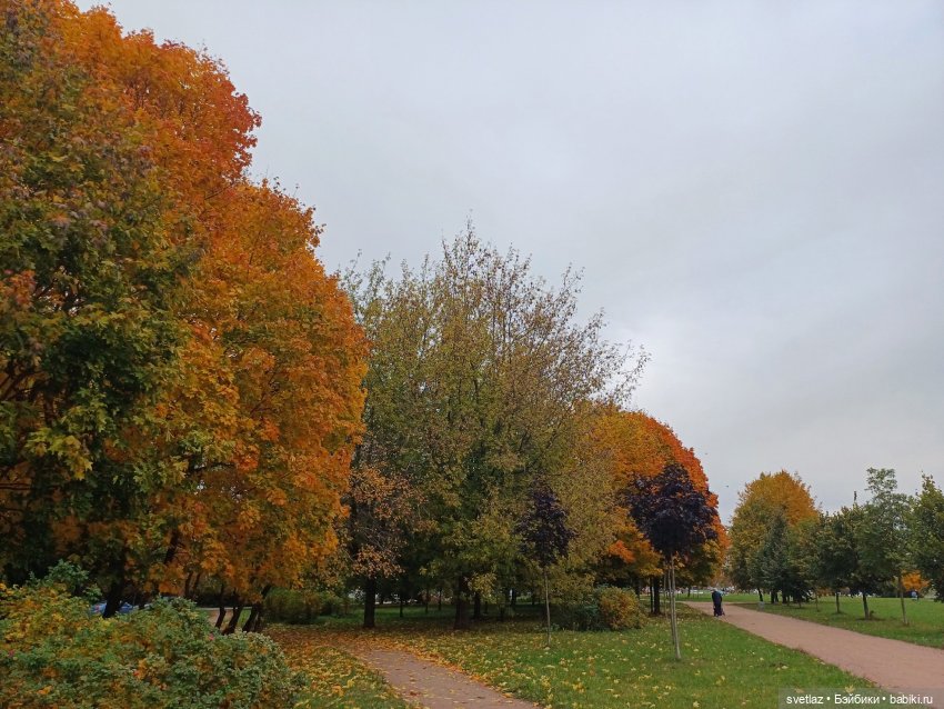 А оделся я так, потому что (фото 2)