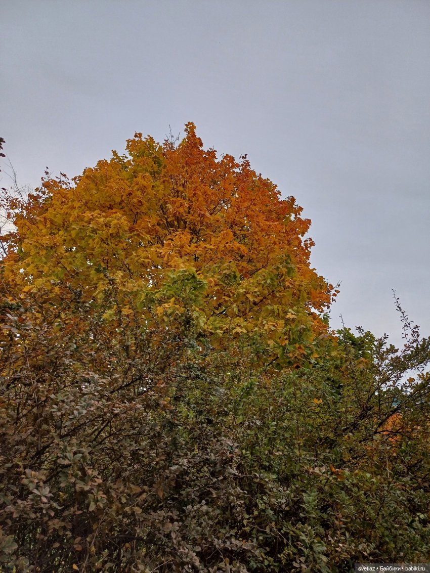 А оделся я так, потому что