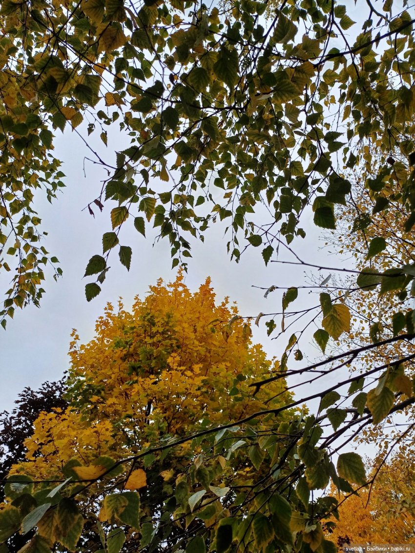 А оделся я так, потому что