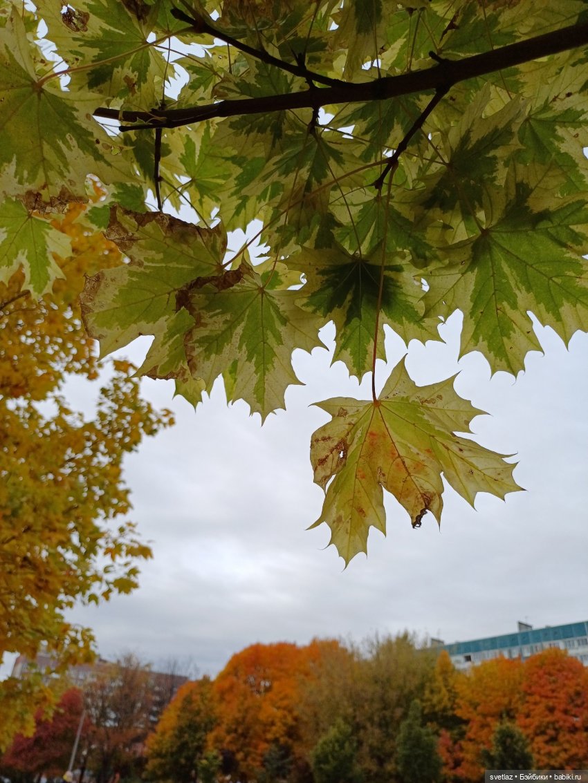 А оделся я так, потому что