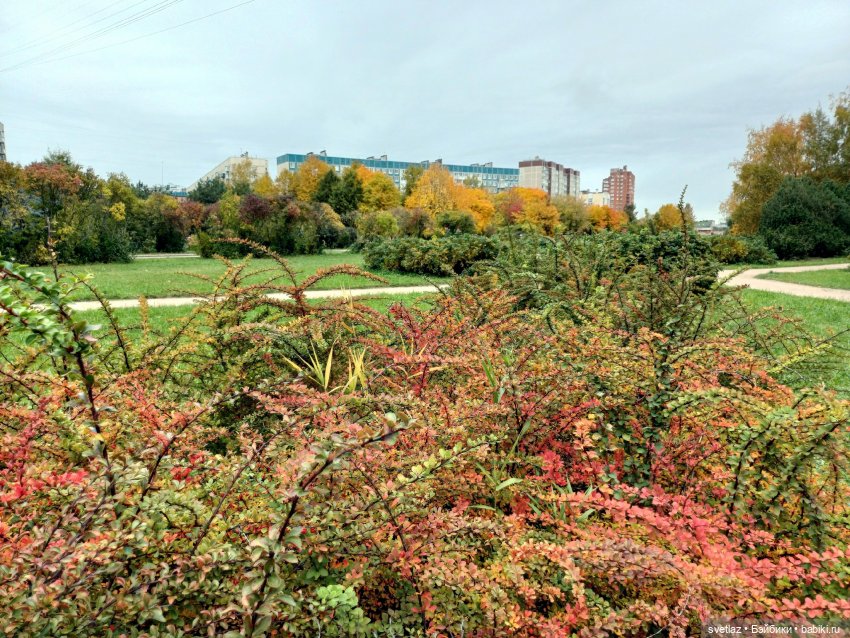 А оделся я так, потому что