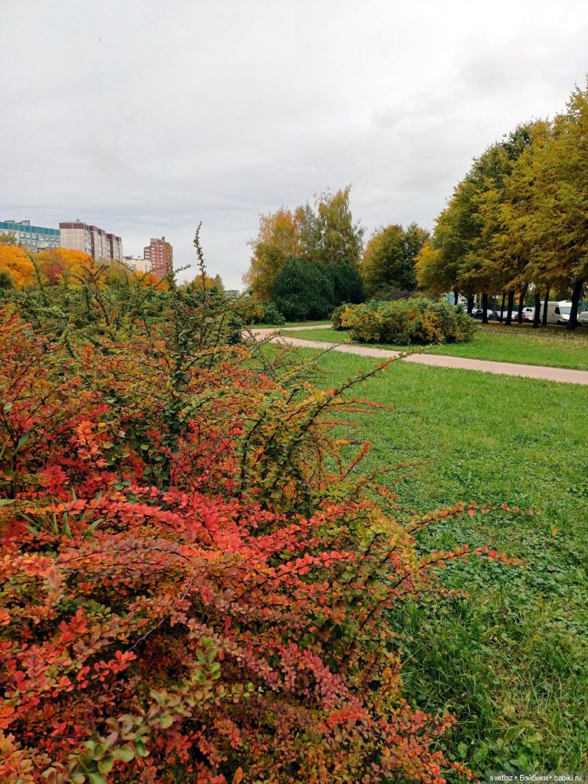 А оделся я так, потому что