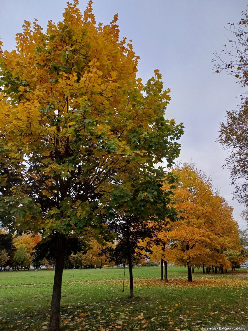 А оделся я так, потому что