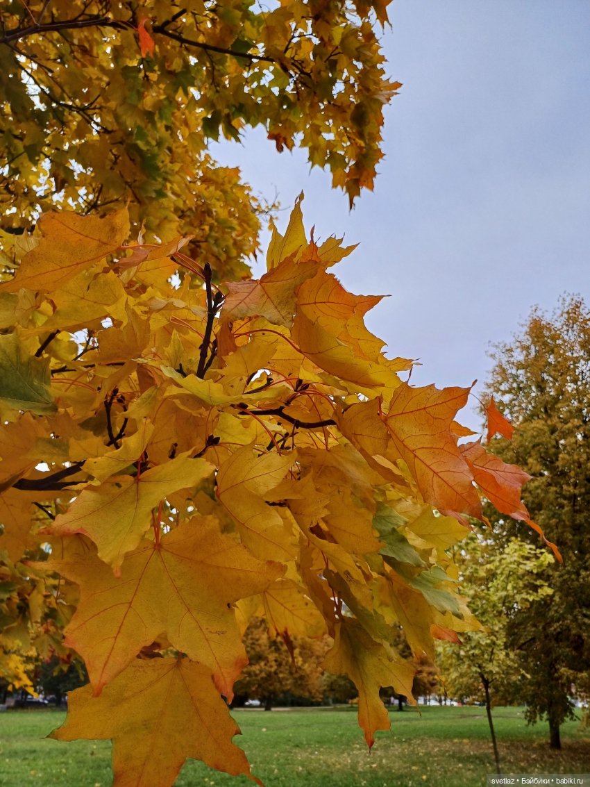 А оделся я так, потому что