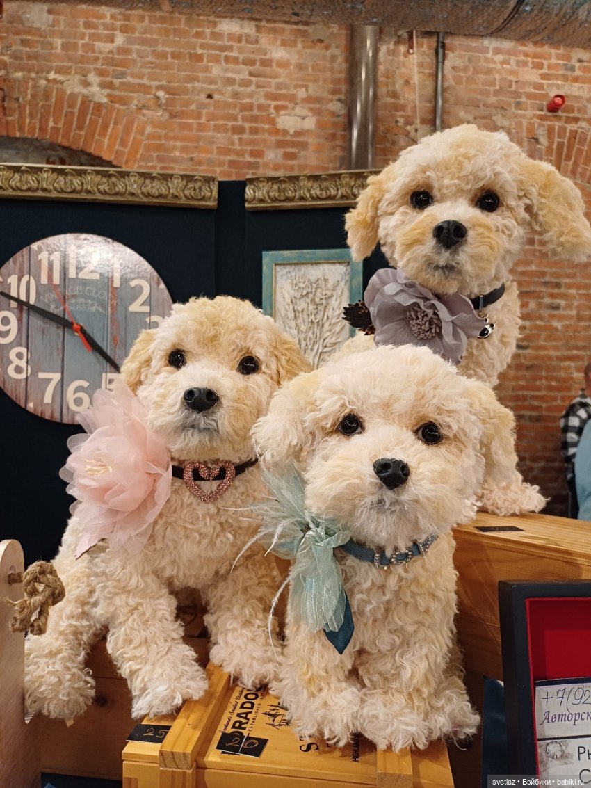 И снова праздник в Севкабель Порту! Серия 4