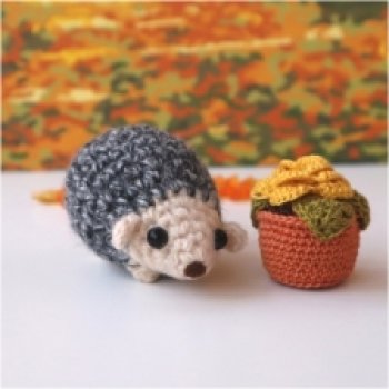 Осенние ежи