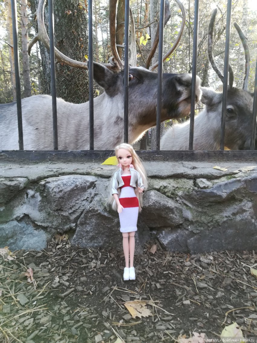 Юля и Соня в зоопарке — Куклы Kurhn (Курн) и Sonya Rose (Соня): Золотая коллекция