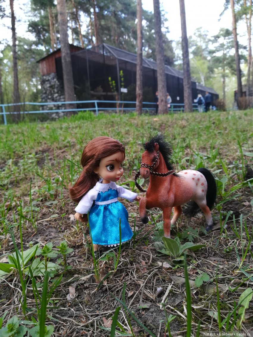 Поздравим наших питомцев с днем домашних животных (фото 8)