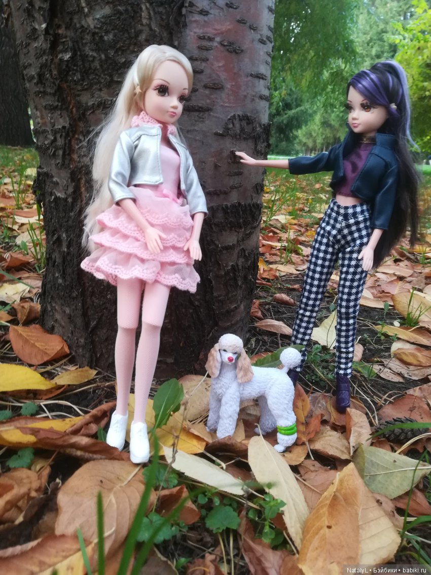 Поздравим наших питомцев с днем домашних животных (фото 9)