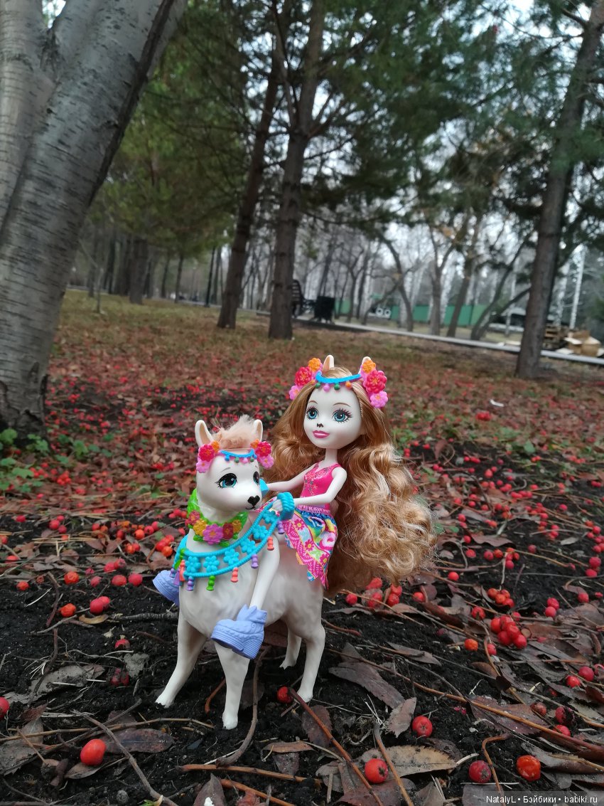 Поздравим наших питомцев с днем домашних животных (фото 7)