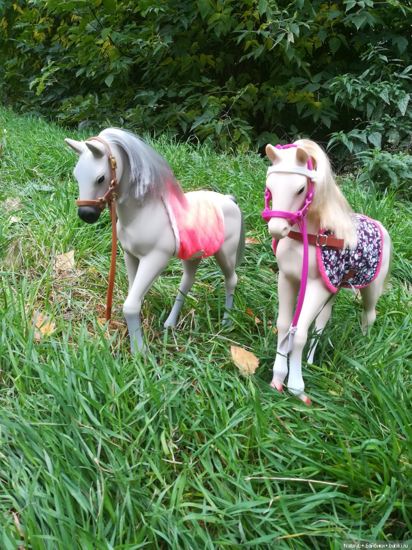 Поздравим наших питомцев с днем домашних животных (фото 4)