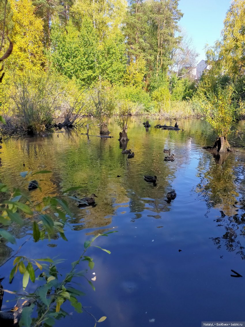 Новосибирский Академгородок воскресная экскурсия с Валентином