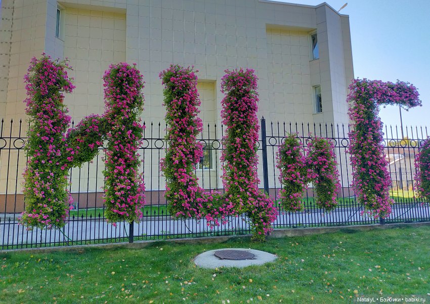 Новосибирский Академгородок воскресная экскурсия с Валентином (фото 4)