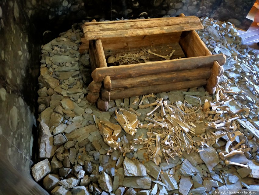 Новосибирский Академгородок воскресная экскурсия с Валентином