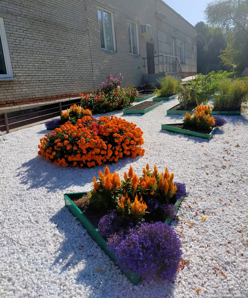 Новосибирский Академгородок воскресная экскурсия с Валентином (фото 5)