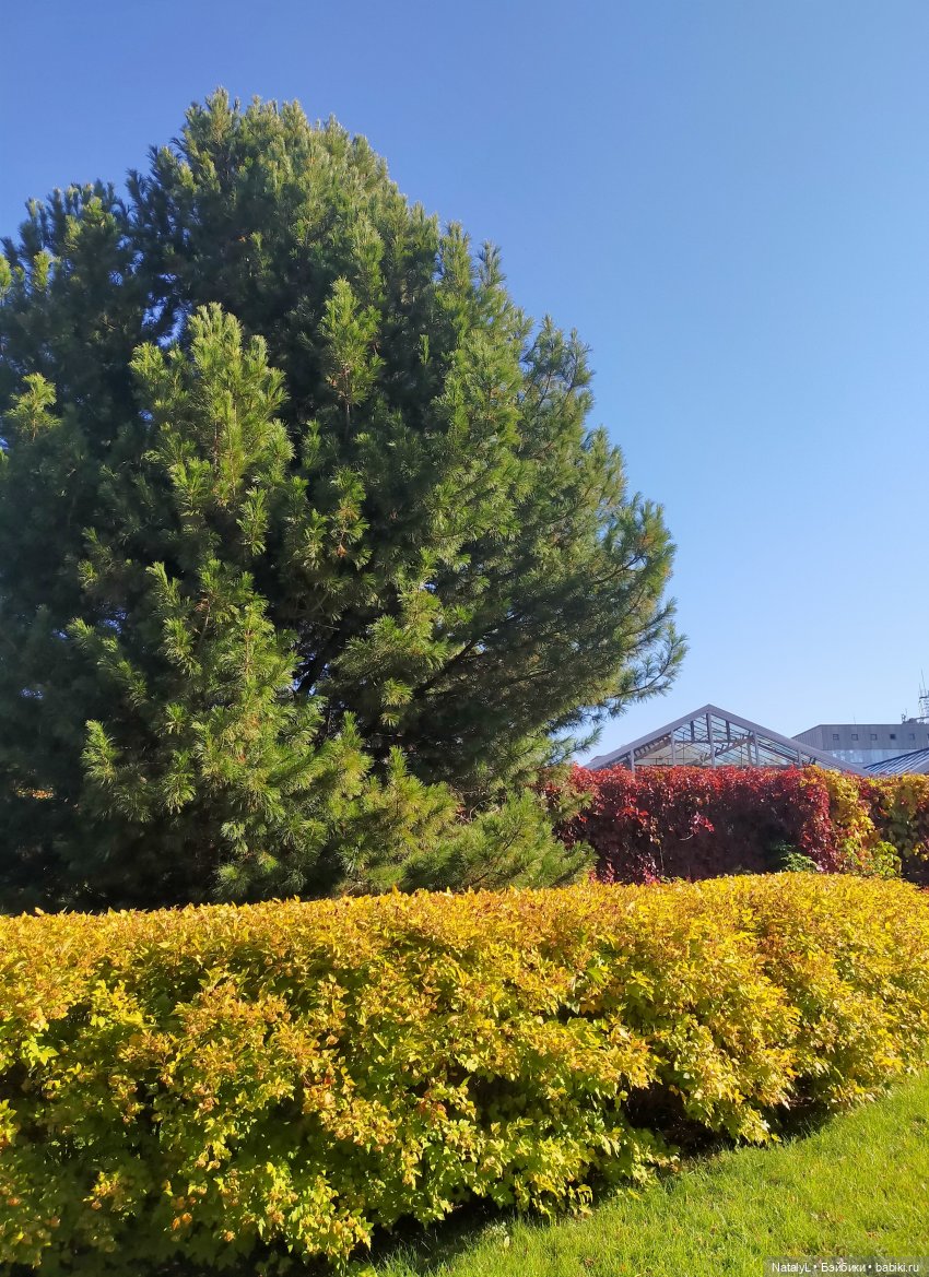 Новосибирский Академгородок воскресная экскурсия с Валентином (фото 6)