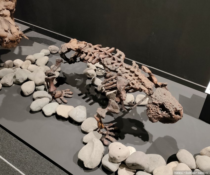 Валентин и динозавры — Интересное и необычное: фотоподборки (фото 6)