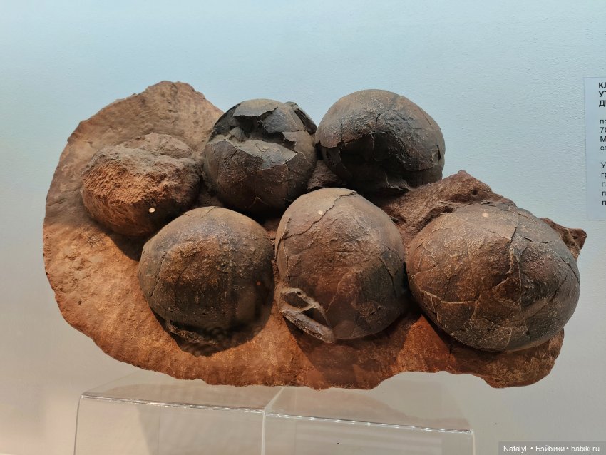 Валентин и динозавры — Интересное и необычное: фотоподборки