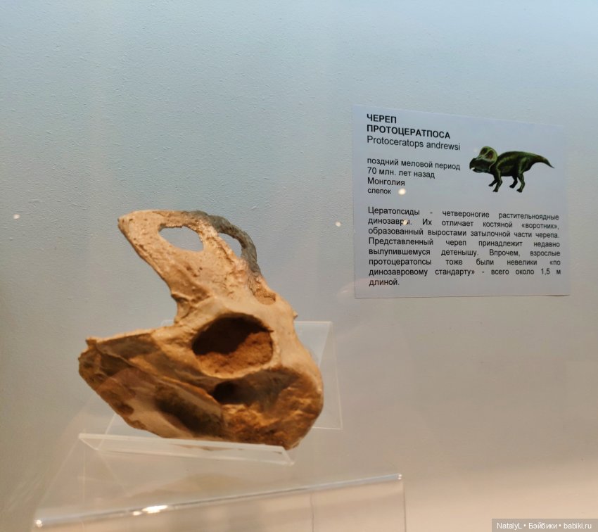 Валентин и динозавры — Интересное и необычное: фотоподборки