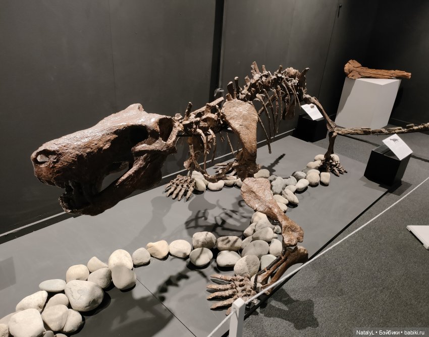 Валентин и динозавры — Интересное и необычное: фотоподборки (фото 4)