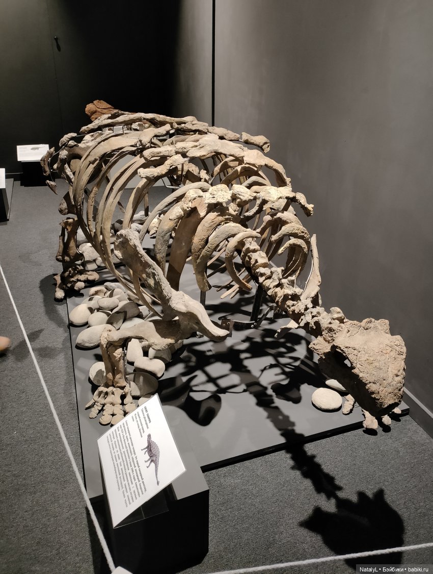 Валентин и динозавры — Интересное и необычное: фотоподборки