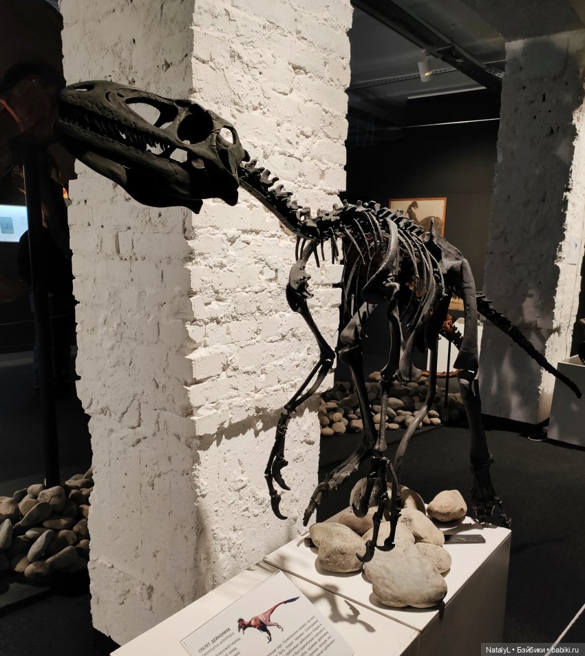 Валентин и динозавры — Интересное и необычное: фотоподборки