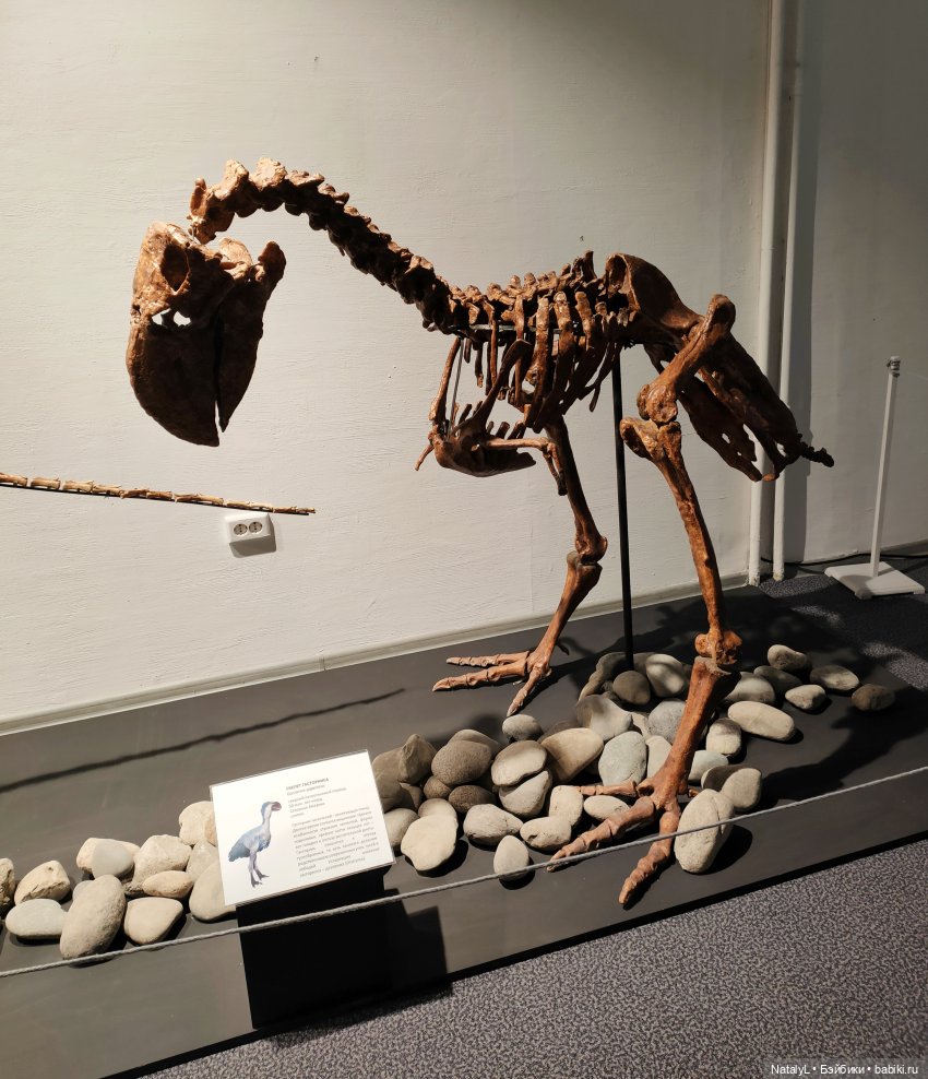 Валентин и динозавры — Интересное и необычное: фотоподборки