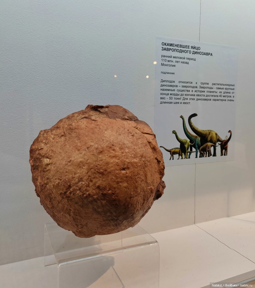 Валентин и динозавры — Интересное и необычное: фотоподборки