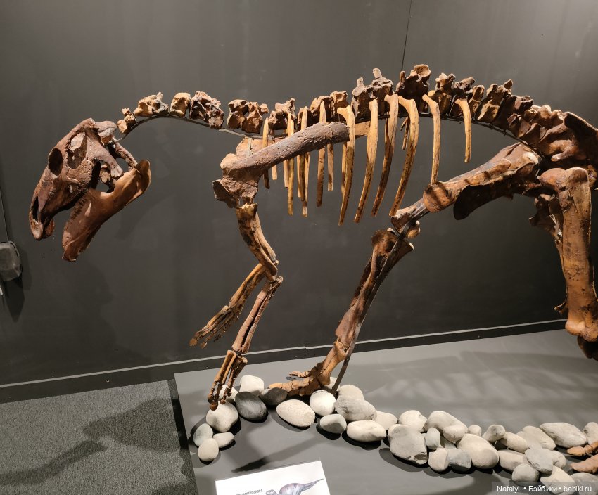 Валентин и динозавры — Интересное и необычное: фотоподборки (фото 9)