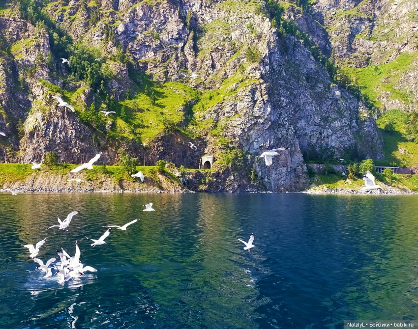 Сашка и железные дороги (КБЖД)