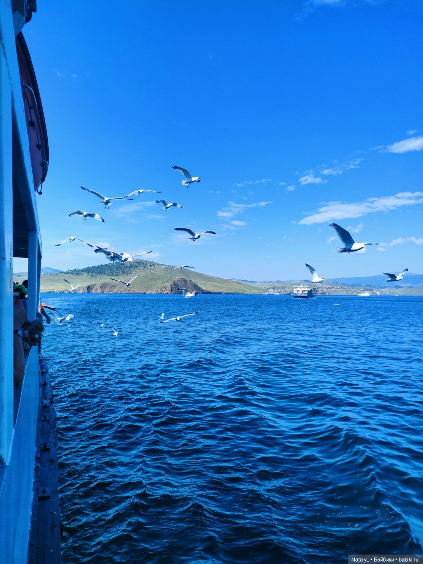 Джейд на Ольхоне — Куклы Rainbow High (Рейнбоу Хай