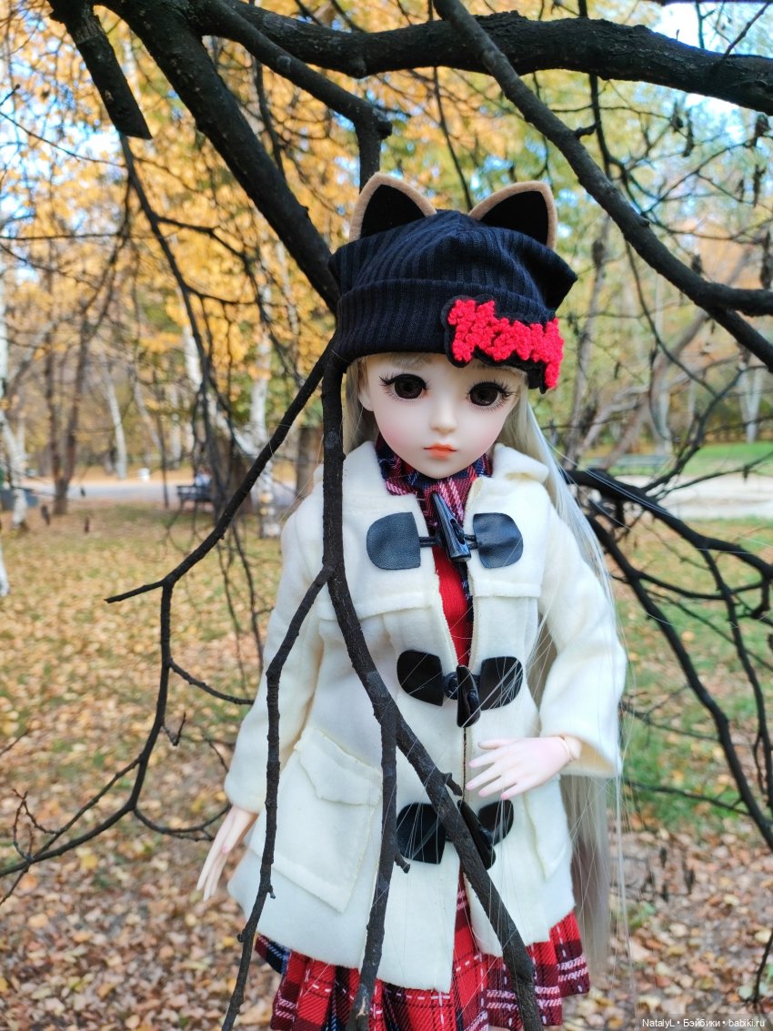 Золотая осень — Разные шарнирные куклы (не БЖД): редкие