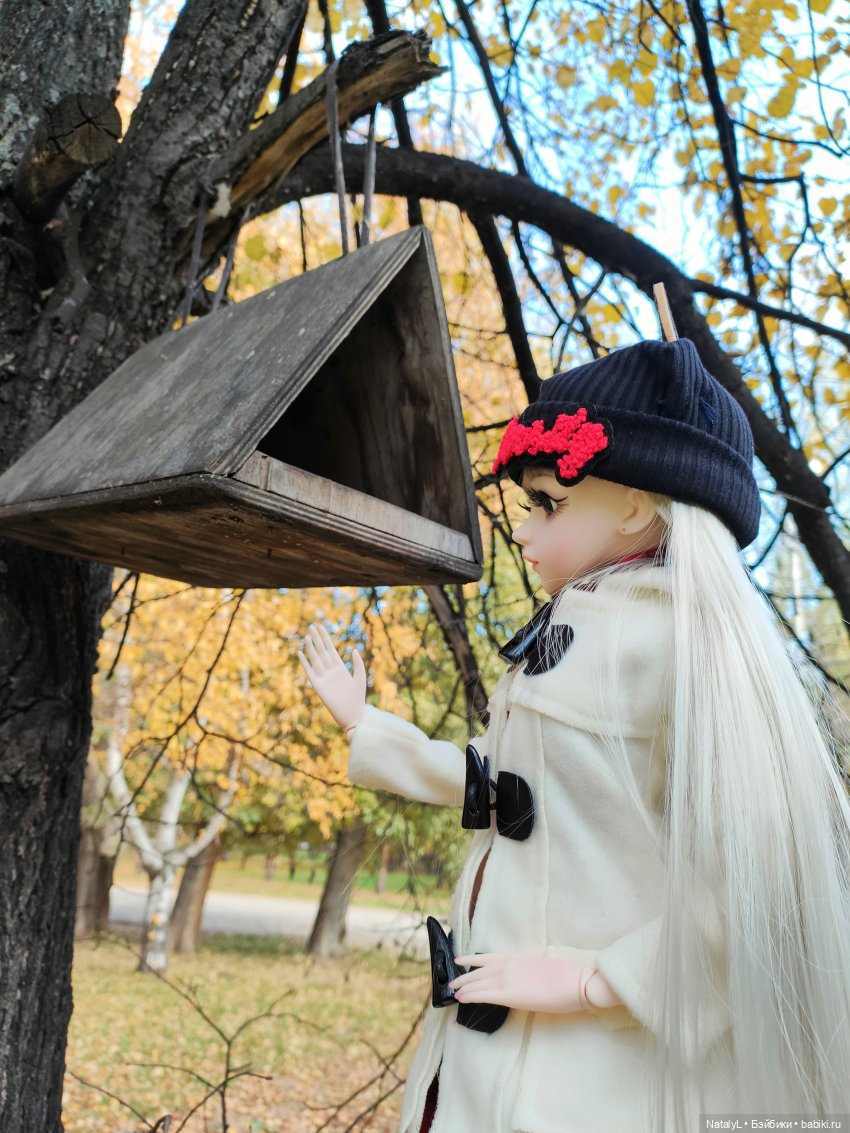 Золотая осень — Разные шарнирные куклы (не БЖД): редкие (фото 10)