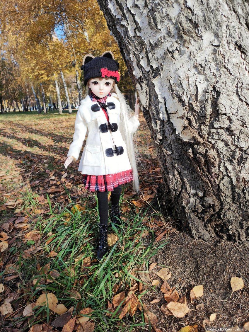 Золотая осень — Разные шарнирные куклы (не БЖД): редкие