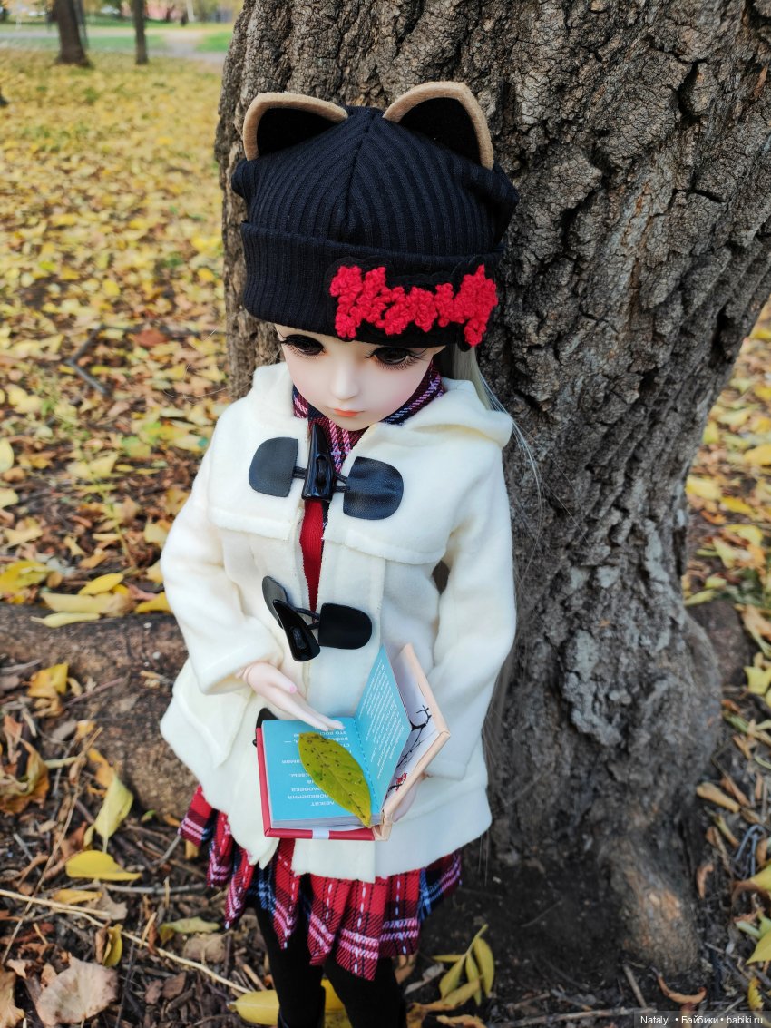 Золотая осень — Разные шарнирные куклы (не БЖД): редкие (фото 4)