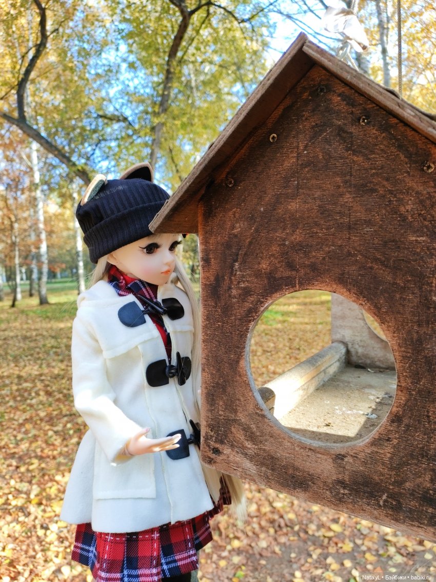 Золотая осень — Разные шарнирные куклы (не БЖД): редкие